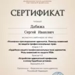 Сертификат 1 - Дабижа Сергей Иванович