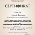 Сертификат 5 - Дабижа Серегй Иванович