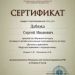 Сертификат 7 - Дабижа Сергей Иванович