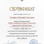 Сертификат 1 - Тимофеев Тимофей Сергеевич