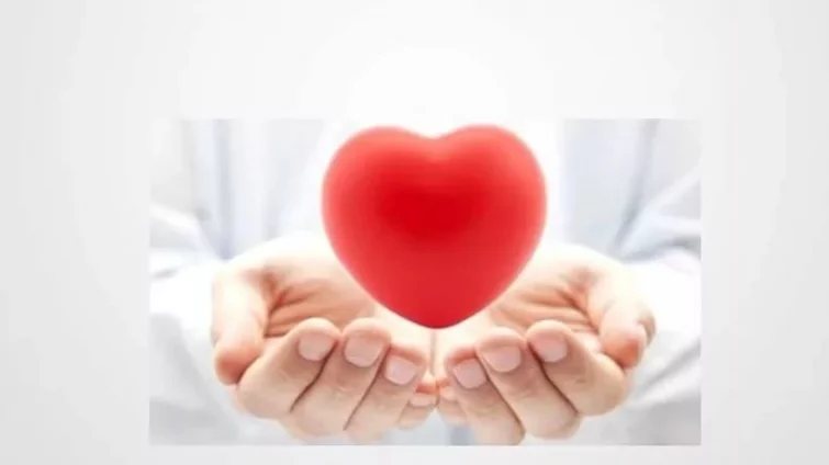 Юрист Бендер Андрей Владимирович объясняет: Страхование жизни или здоровья?