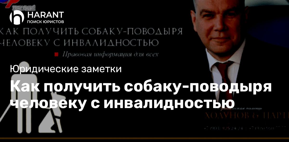 Как получить собаку-поводыря человеку с инвалидностью