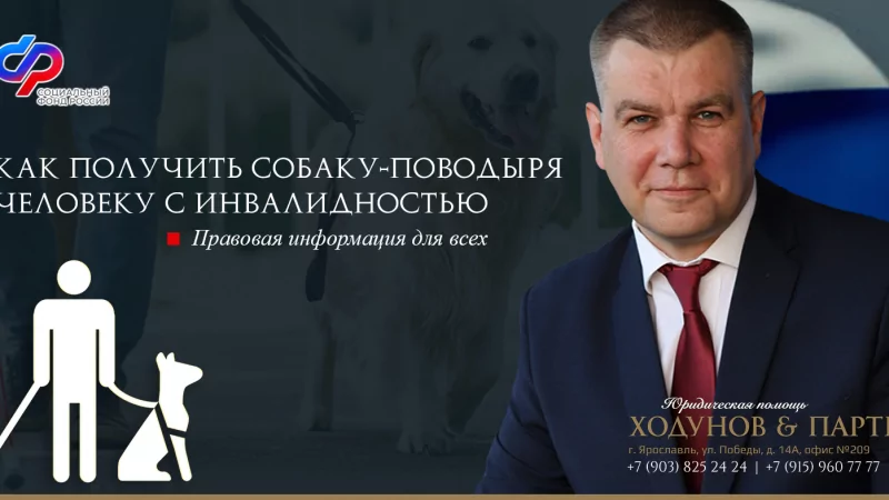 Юрист Ходунов Александр Сергеевич объясняет: Как получить собаку-поводыря человеку с инвалидностью