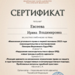Сертификат 2 - Евсеева Ирина Владимировна