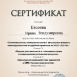 Сертификат 3 - Евсеева Ирина Владимировна