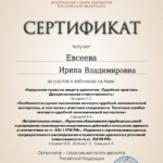 Сертификат 4 - Евсеева Ирина Владимировна