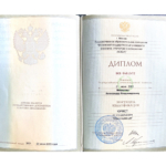 Диплом - Мишалов Александр Владимирович