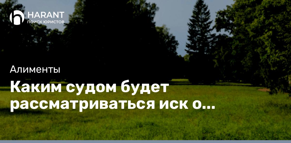 Каким судом будет рассматриваться иск о взыскании алиментов с иностранцев