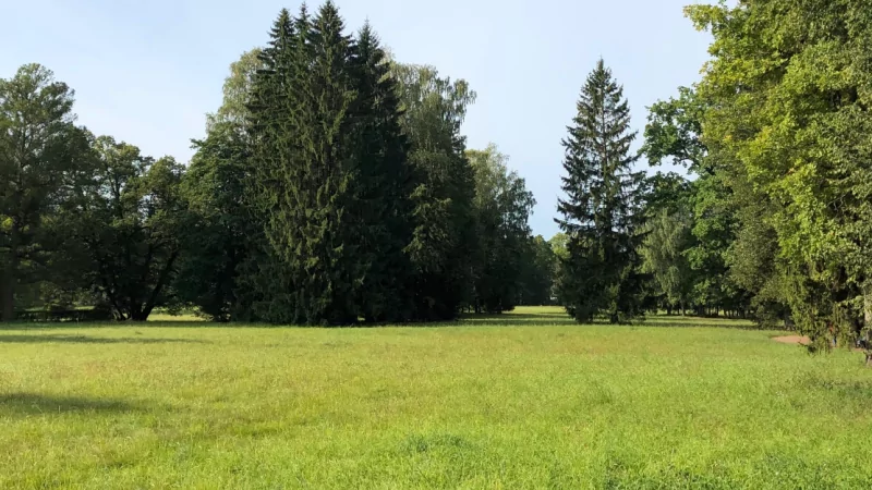 Адвокат Васильев Артём Владимирович объясняет: Каким судом будет рассматриваться иск о взыскании алиментов с иностранцев