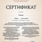 Сертификат 3 - Ребрин Павел Сергеевич
