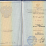 Диплом - Власова Надежда Александровна