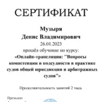 Сертификат Музыря Денис Владимирович - Музыря Денис Владимирович
