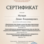 Сертификат Музыря Денис Владимирович 5 - Музыря Денис Владимирович