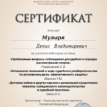 Сертификат на 6 часов - Музыря Денис Владимирович