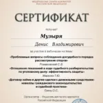 Сертификат на 6 часов - Музыря Денис Владимирович
