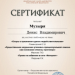 Сертификат на 6 часов  - Музыря Денис Владимирович