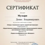 Сертификат на 6 часов  - Музыря Денис Владимирович