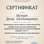 Сертификат на 6 часов - Музыря Денис Владимирович