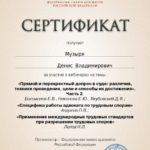Сертификат на 6 часов  - Музыря Денис Владимирович