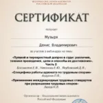 Сертификат на 6 часов  - Музыря Денис Владимирович