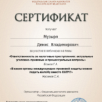 Сертификат на 6 часов - Музыря Денис Владимирович