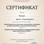 Сертификат на 6 часов - Музыря Денис Владимирович