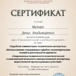 Сертификат № 2 на 6 часов - Музыря Денис Владимирович