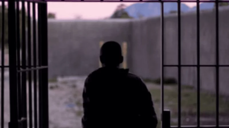 Адвокат Сизоненко Александр Аркадьевич объясняет: Удовлетворение ходатайства об условно-досрочном освобождении от отбывания наказания (УДО)