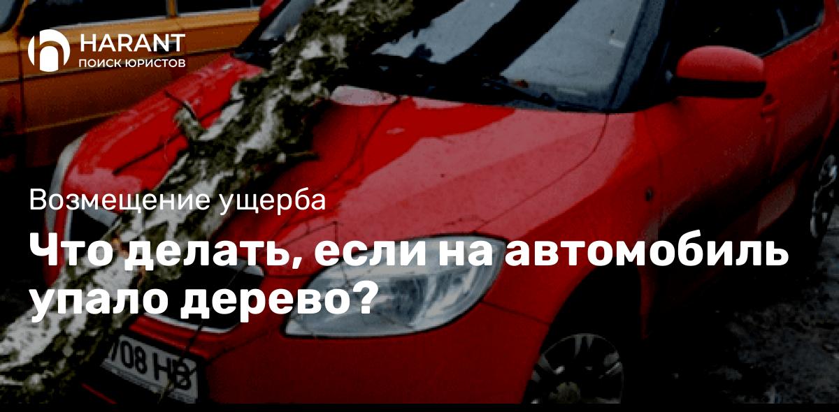 Что делать, если на автомобиль упало дерево?