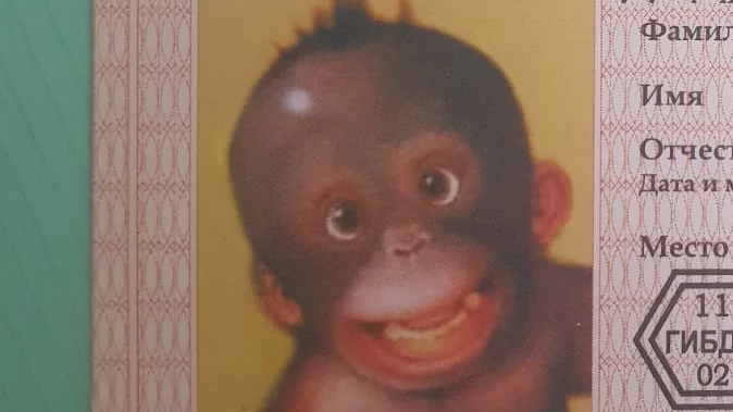 Юрист Перескокова Наталья Николаевна объясняет: В 2024 году вводятся новые ограничения для сдающих экзамены на права