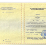 Диплом: Кадастровый инженер, 2011 — Шоймер А.С.