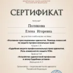 Сертификат 2 - Полякова Елена Игоревна