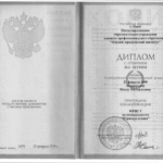 Диплом - Лаврентьев Павел Михайлович