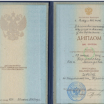 Диплом: Дальневосточный государственный университет, 2021 — Кривцова О.Л.