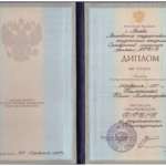 Диплом Швырева Ю.А. - Швырева Юлия Александровна