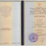 Диплом ОМГУ - Репина Анна Васильевна