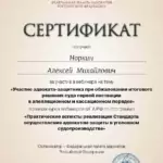 Сертификат 1 - Норкин Алексей Михайлович