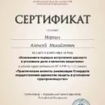 Сертификат 2 - Норкин Алексей Михайлович