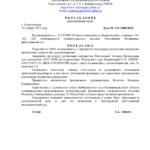 Определение 1 - Забузанов Александр Сергеевич