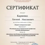 Сертификат - Карпенко Евгений Максимович