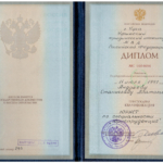 Диплом - Андреев Станислав Анатольевич