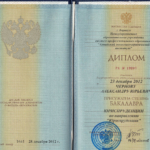 Диплом: Алтайский экономико-юридический институт, 2012 — Чернов А.Ю.