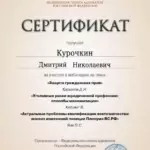 Сертификат - Курочкин Дмитрий Николаевич