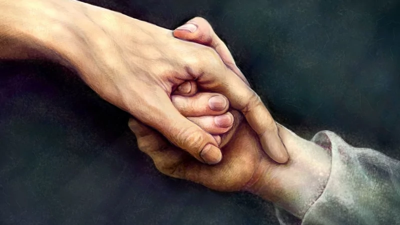 Адвокат Фёдоров Эдуард Владиславович объясняет: «Декларация публичного образовательного сообщества»