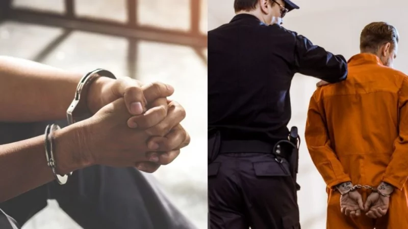 Адвокат Рэймер Ярослав Николаевич объясняет: Освобождение от уголовной ответственности в связи с деятельным раскаянием