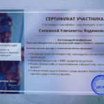 Сертификат участника  3 ежегодная конференция Силкина - Силкина Елизавета Вадимовна