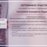 Сертификат участника Силкина Елизавета - Силкина Елизавета Вадимовна