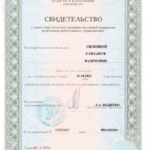 Скан свидетельства о сдаче экзамена - Силкина Елизавета Вадимовна