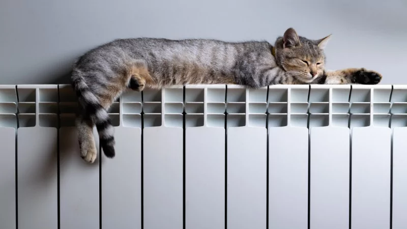 Юрист Фадеев Артем Владимирович объясняет: Как действовать при отключении отопления? Права граждан на компенсации.