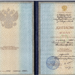 Диплом: Иркутский государственный университет, 1999 — Ласкина А.А.